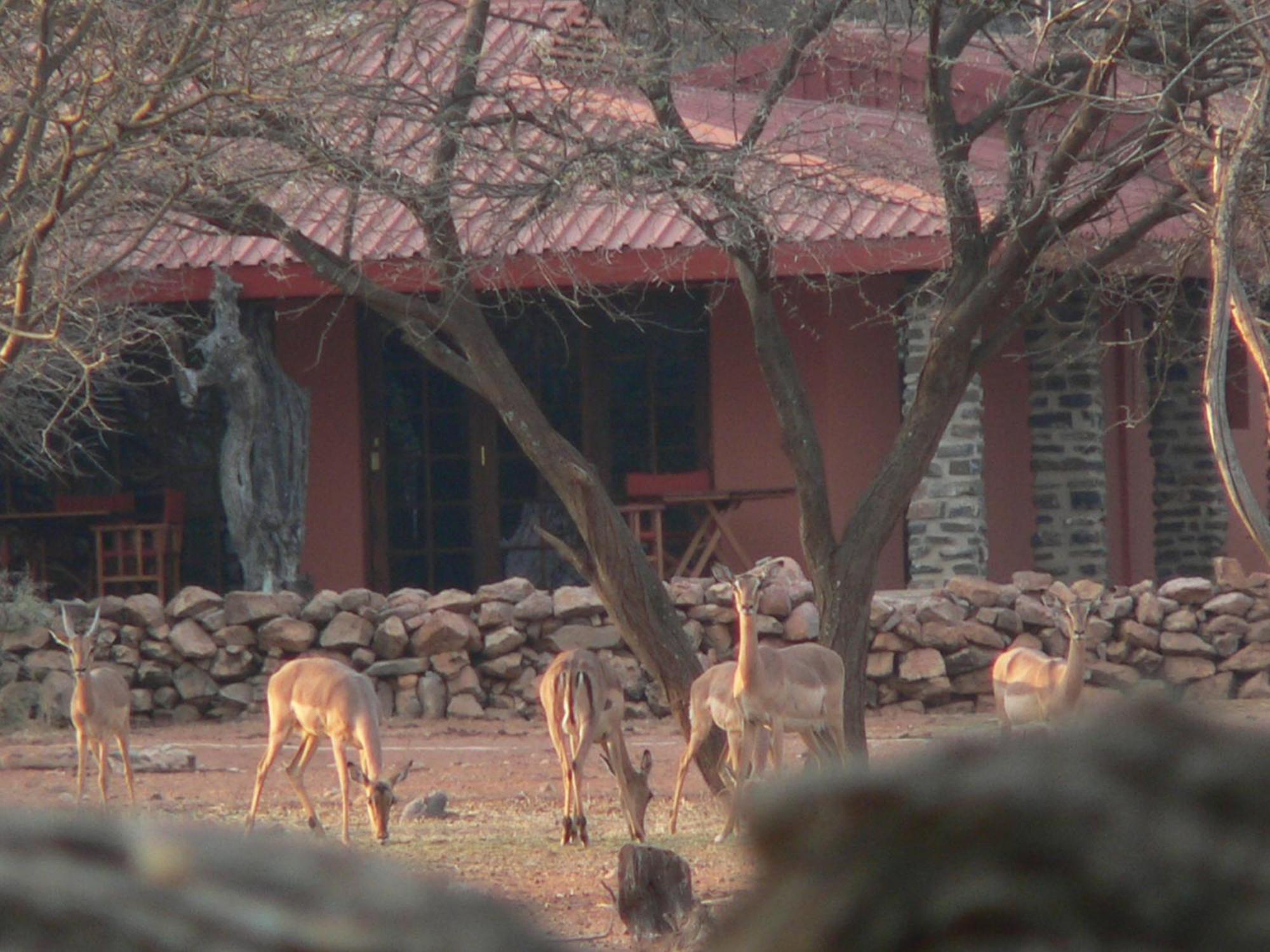 Ohange Namibia Lodge Otavi Exterior foto